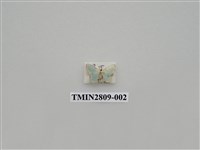 藏品(尺蛾431)的圖片